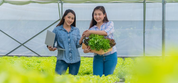 lapostető vízelvezetése